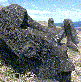 Moai Statues - 1